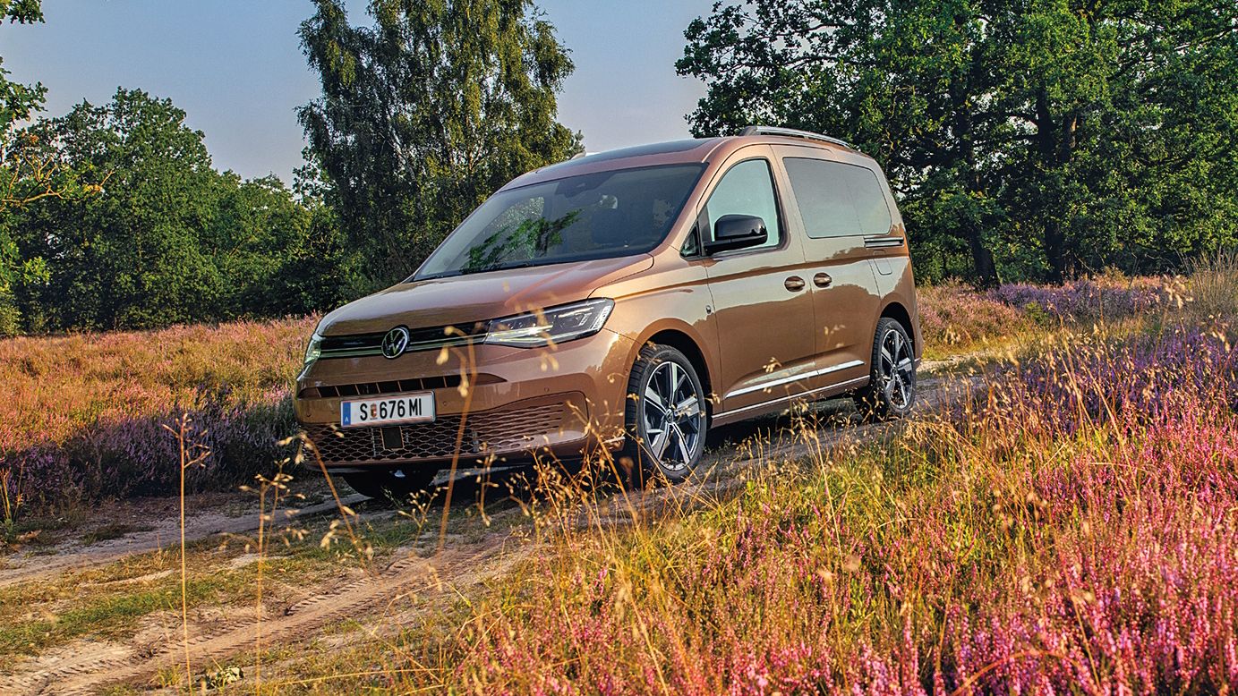Bronzefarbener Caddy in der Natur, Fahrerseite