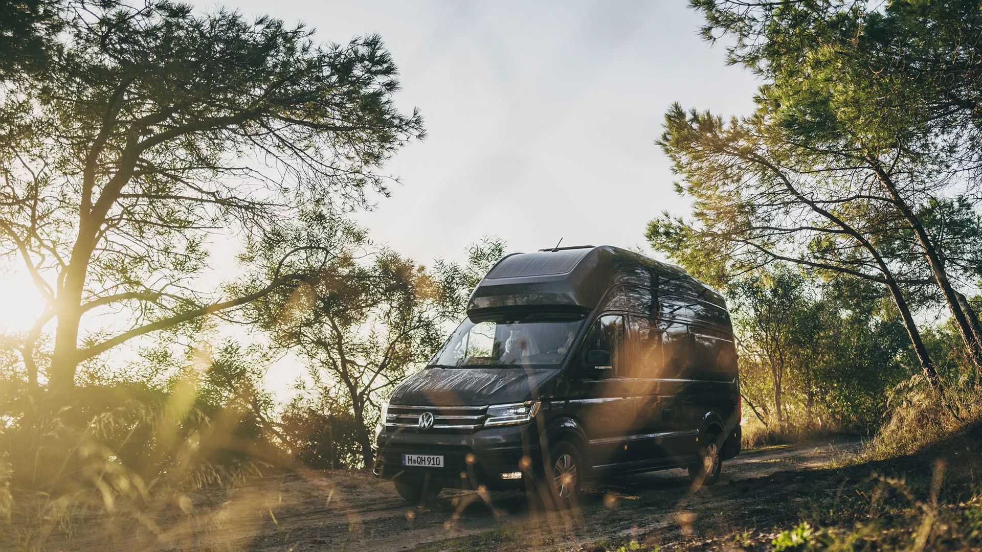 Ein schwarzer Volkswagen California fährt auf einem schmalen Waldweg, umgeben von hohen Bäumen und Grasbüscheln.