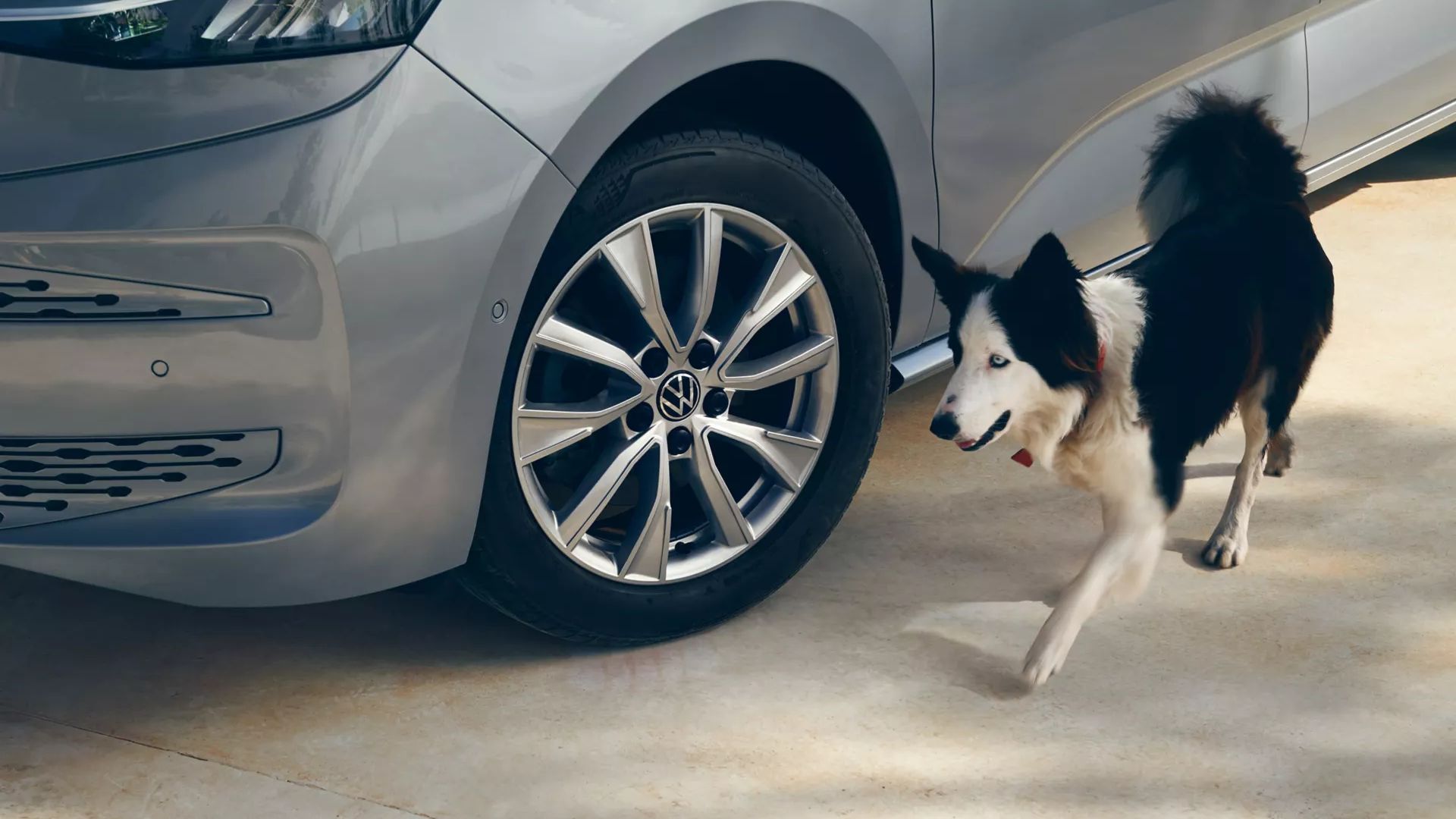 Hund läuft an einem eingeschlagenen Vorderrad des VW Multivans vorbei