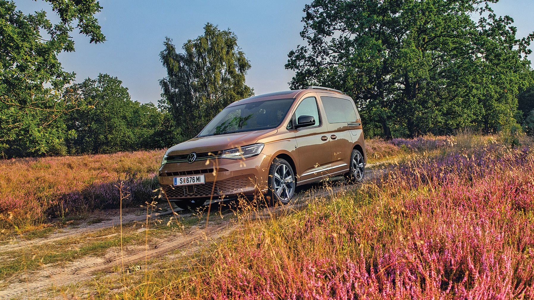 Bronzefarbener Caddy in der Natur, Fahrerseite