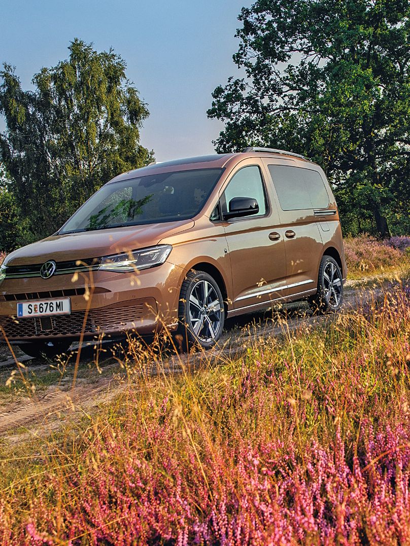 Bronzefarbener Caddy in der Natur, Fahrerseite