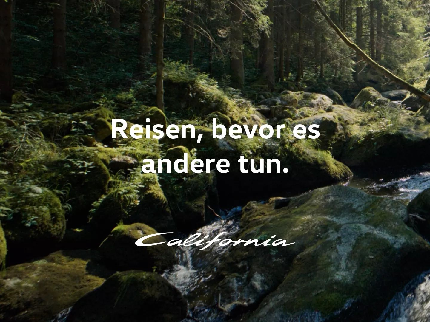 Weißer, handschriftlicher Schriftzug "California" in kursiver Schrift unter der Überschrift "Reisen, bevor es andere tun." Im Hintergrund ist eine ruhige Waldlandschaft mit einem sanft fließenden Bach.