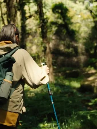 Eine Frau und ein Mann wandern mit Rucksäcken durch einen grünen Wald.