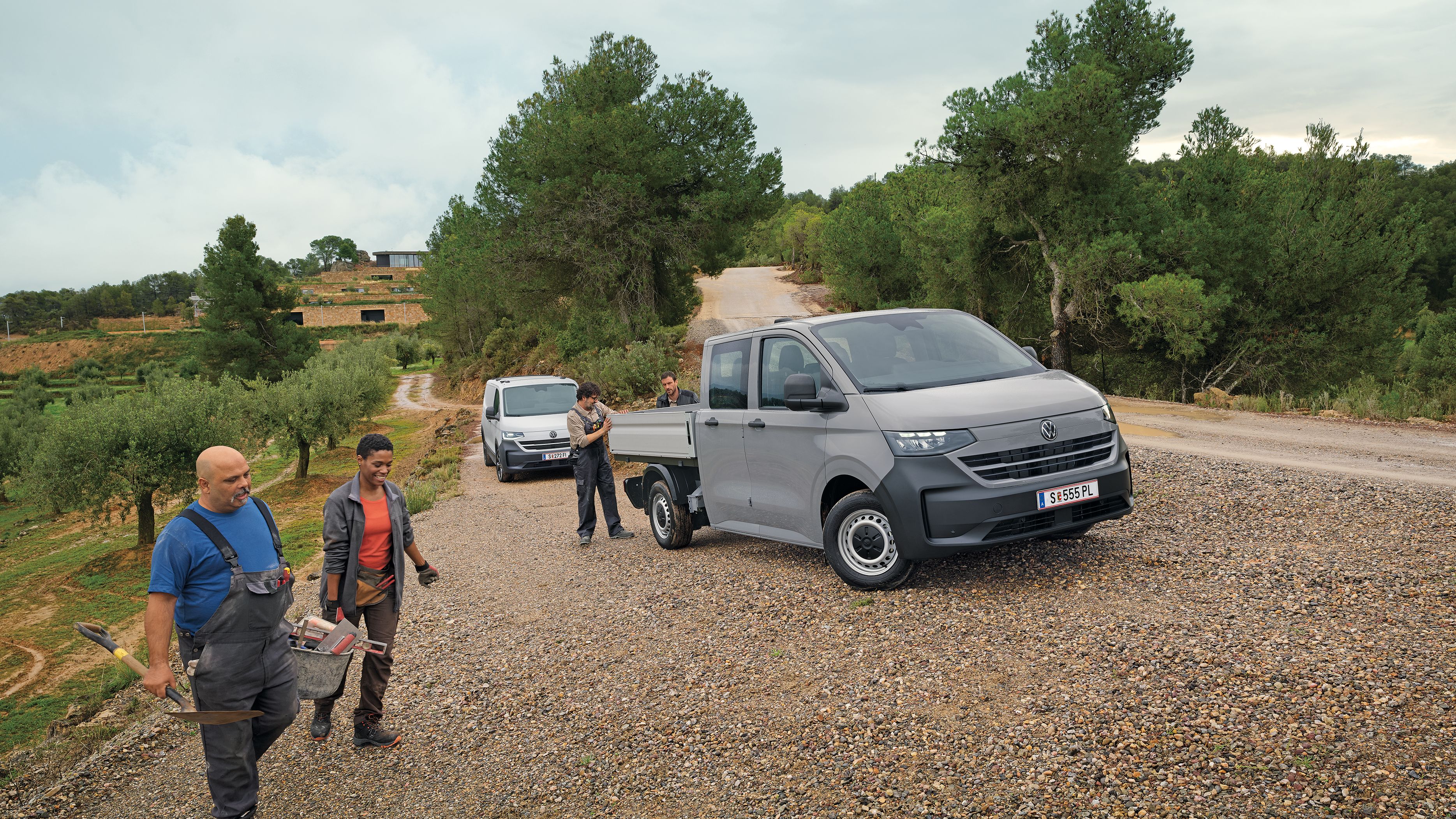 Transporter Pritschenwagen in Grau