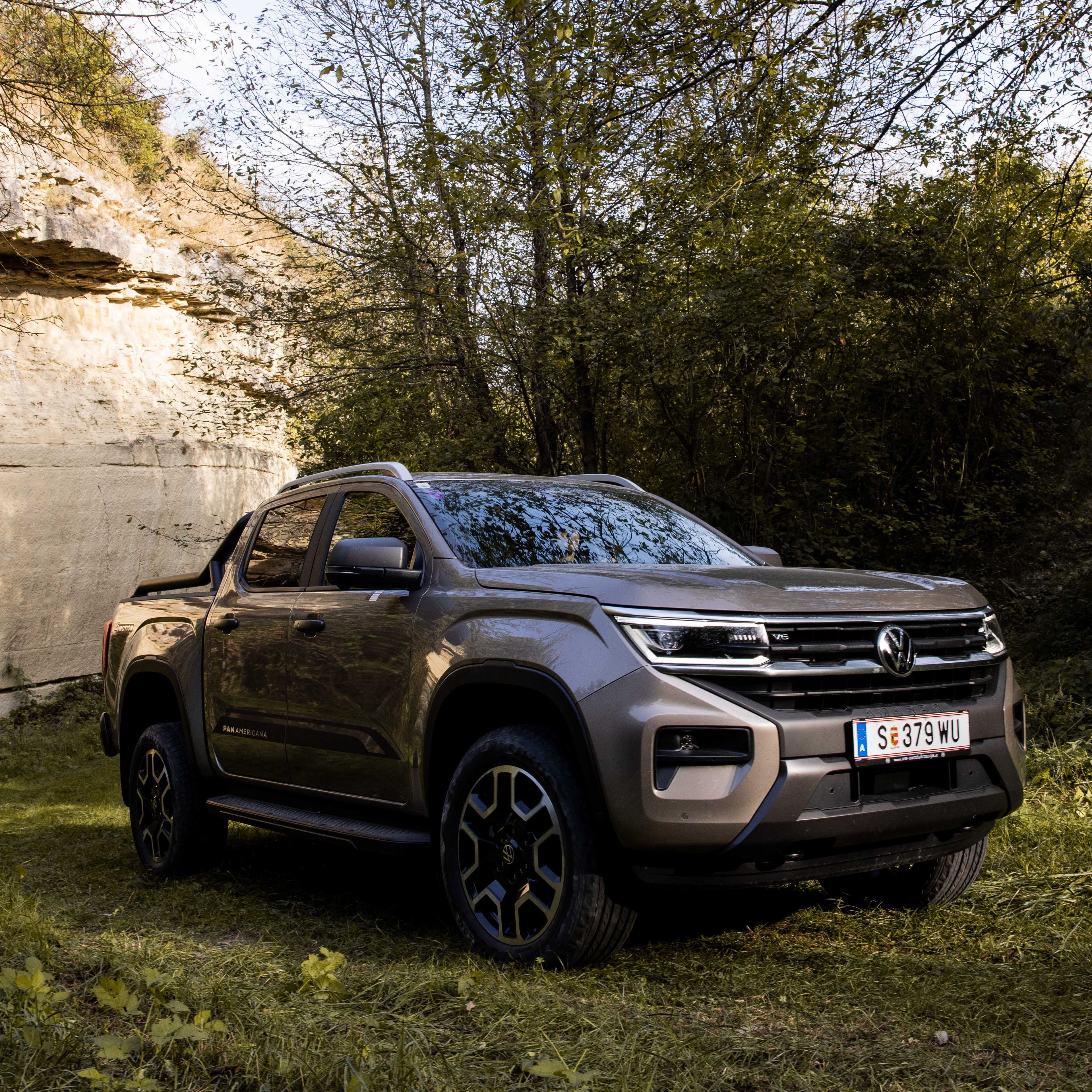 Der VW Amarok steht im Wald.