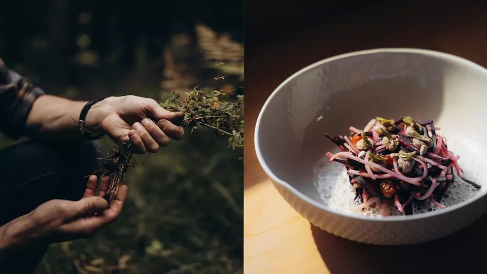 Die linke Bildhälfte zeigt Hände, die frische Kräuter sammeln. Die rechte Bildhälfte zeigt ein kunstvoll angerichtetes Gericht mit verschiedenen Zutaten, darunter bunte Gemüsesorten und fein geschnittene Kräuter.