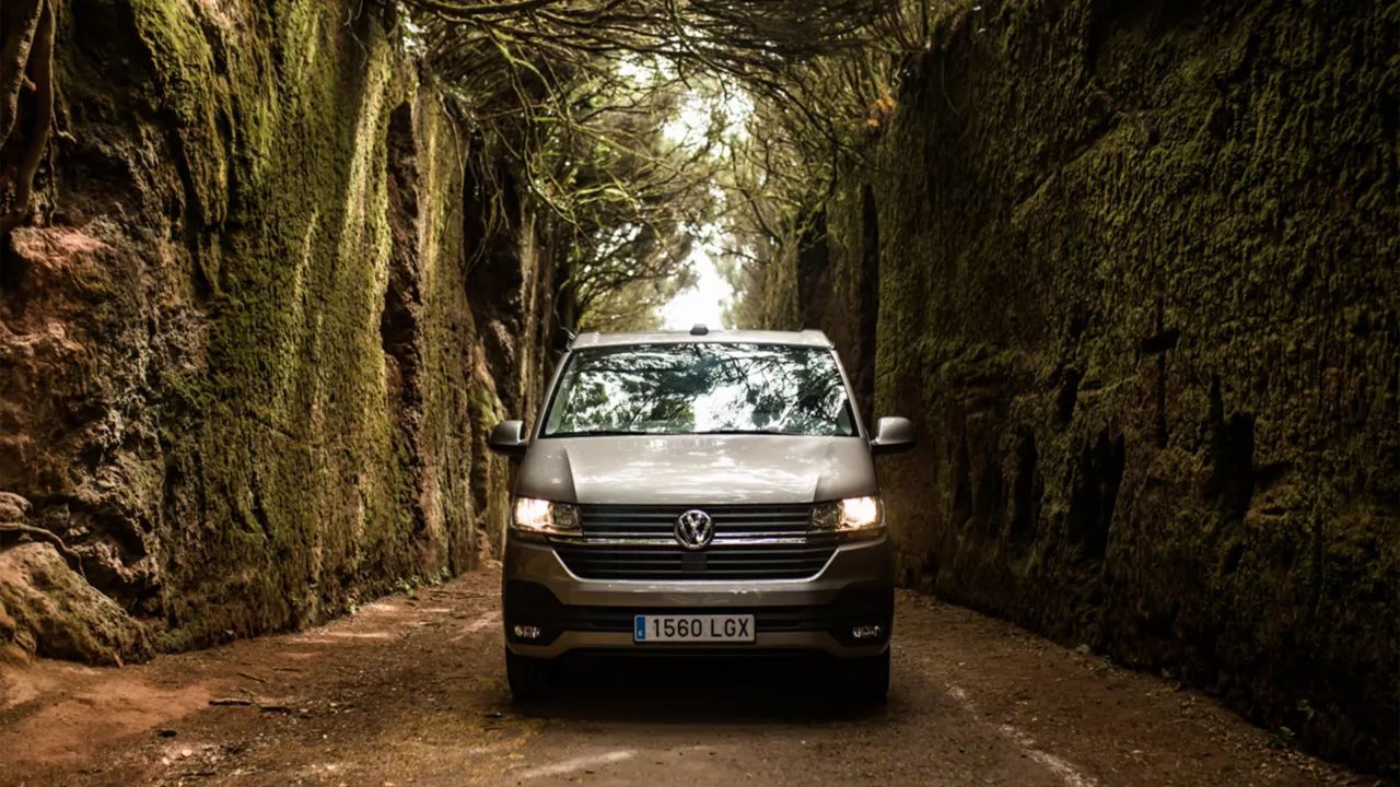 Ein VW California in Frontansicht fährt eine schmale, moosbedeckte Straße entlang