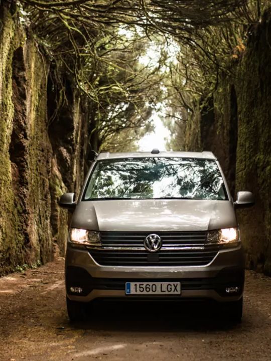 Ein VW California in Frontansicht fährt eine schmale, moosbedeckte Straße entlang