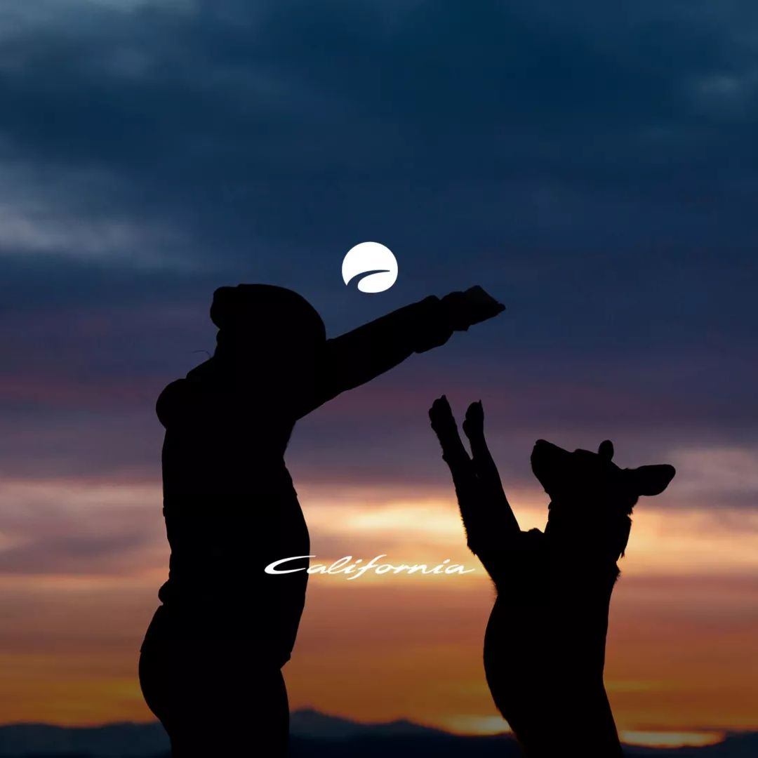 Eine Person und ein Hund spielen vor einem Sonnenuntergang. Der Himmel ist bewölkt und zeigt verschiedene Farben. Im Hintergrund sind Berge zu sehen.