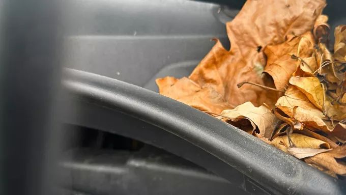 Ein Stapel brauner und vertrockneter Laubblätter liegt auf der Windschutzscheibe eines Volkswagen California. Zu sehen ist auch ein Teil des Scheibenwischers.