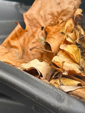 Ein Stapel brauner und vertrockneter Laubblätter liegt auf der Windschutzscheibe eines Volkswagen California. Zu sehen ist auch ein Teil des Scheibenwischers.